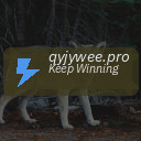 qyjywee.pro
